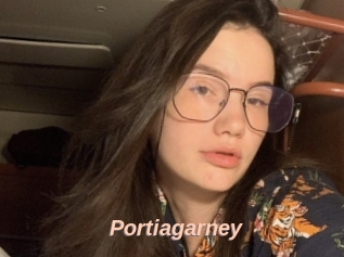 Portiagarney