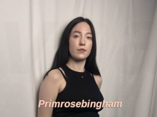 Primrosebingham