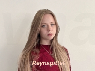 Reynagitter