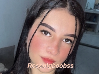 Rosebigboobss