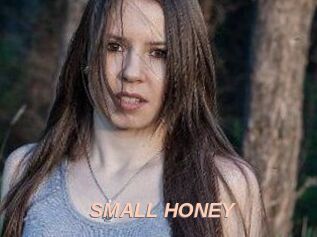 SMALL_HONEY