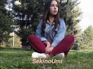 SekinoUmi