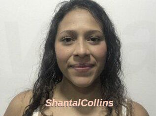 ShantalCollins