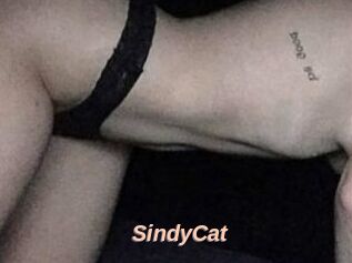 SindyCat