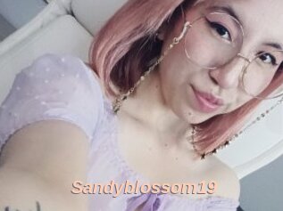 Sandyblossom19
