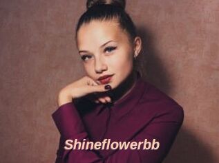 Shineflowerbb