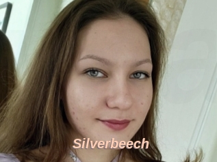 Silverbeech