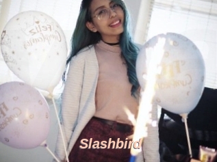 Slashbird