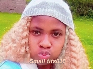 Small_tits018