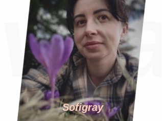 Sofi_gray