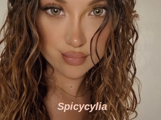 Spicycylia