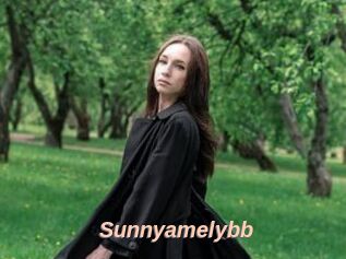 Sunnyamelybb