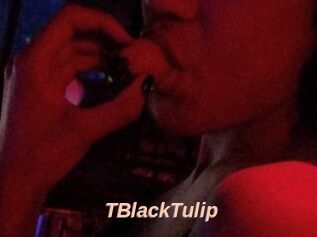 TBlackTulip