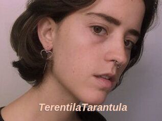 TerentilaTarantula