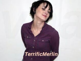 TerrificMerlin