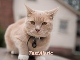 TestAlaric