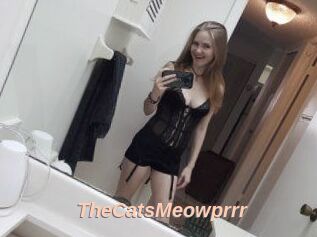 TheCatsMeowprrr