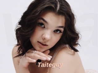 Taiteguy