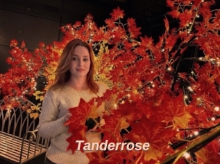 Tanderrose