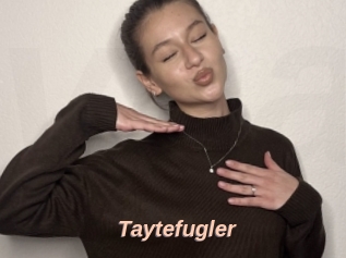 Taytefugler
