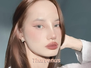 Thaivenus