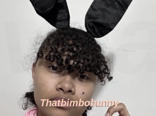 Thatbimbobunny