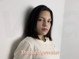 Theabridgewater