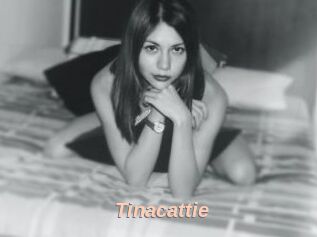 Tinacattie