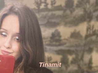 Tinamit