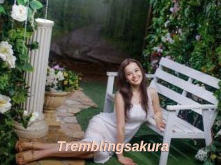 Tremblingsakura