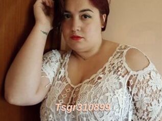 Tsgr310899
