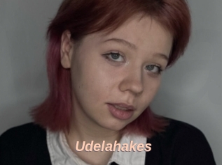 Udelahakes