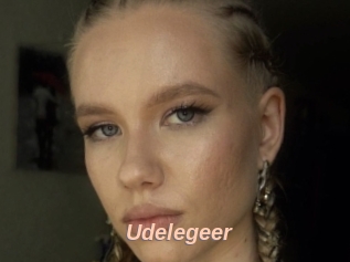 Udelegeer