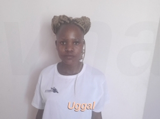 Uggal