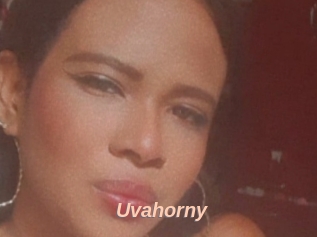 Uvahorny