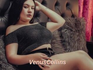 VenusCollins