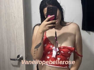Vanellopebellerose