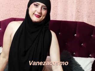 Vanezacosmo