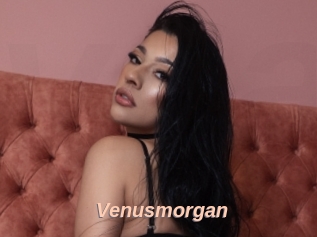 Venusmorgan