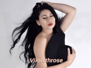 Viiolethrose
