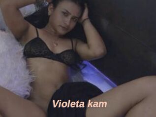 Violeta_kam