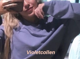 Violetcollen