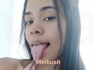 Vivibush