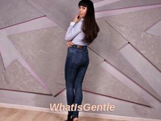 WhatIsGentle