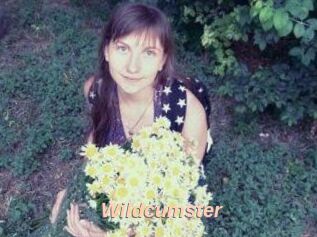 Wildcumster