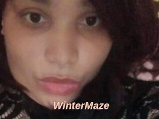 Winter_Maze