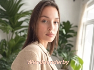 Wandaenderby
