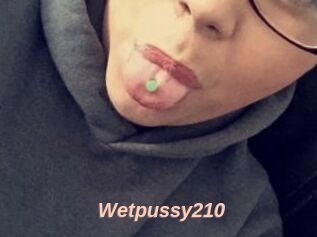 Wetpussy210