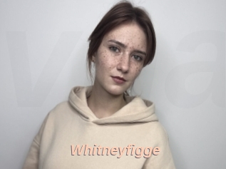 Whitneyfigge