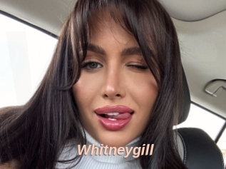 Whitneygill